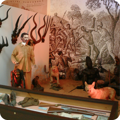 example photo of product